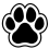 dog paw